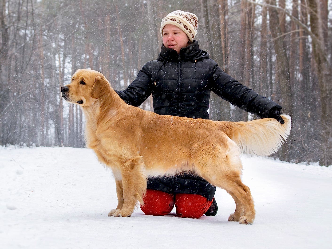 Кибеллайн Амон Ра Сон оф Сан
